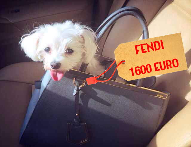 Cea mai ieftina geanta de firma pe care o are Bianca etse u Fendi de 1.600 de euro