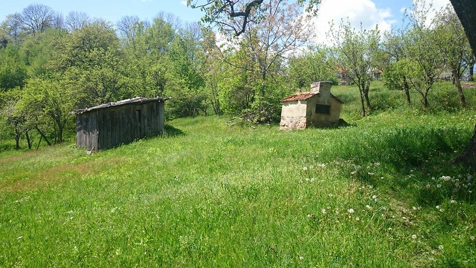 Alex si-a luat un domeniu de vis langa Cluj