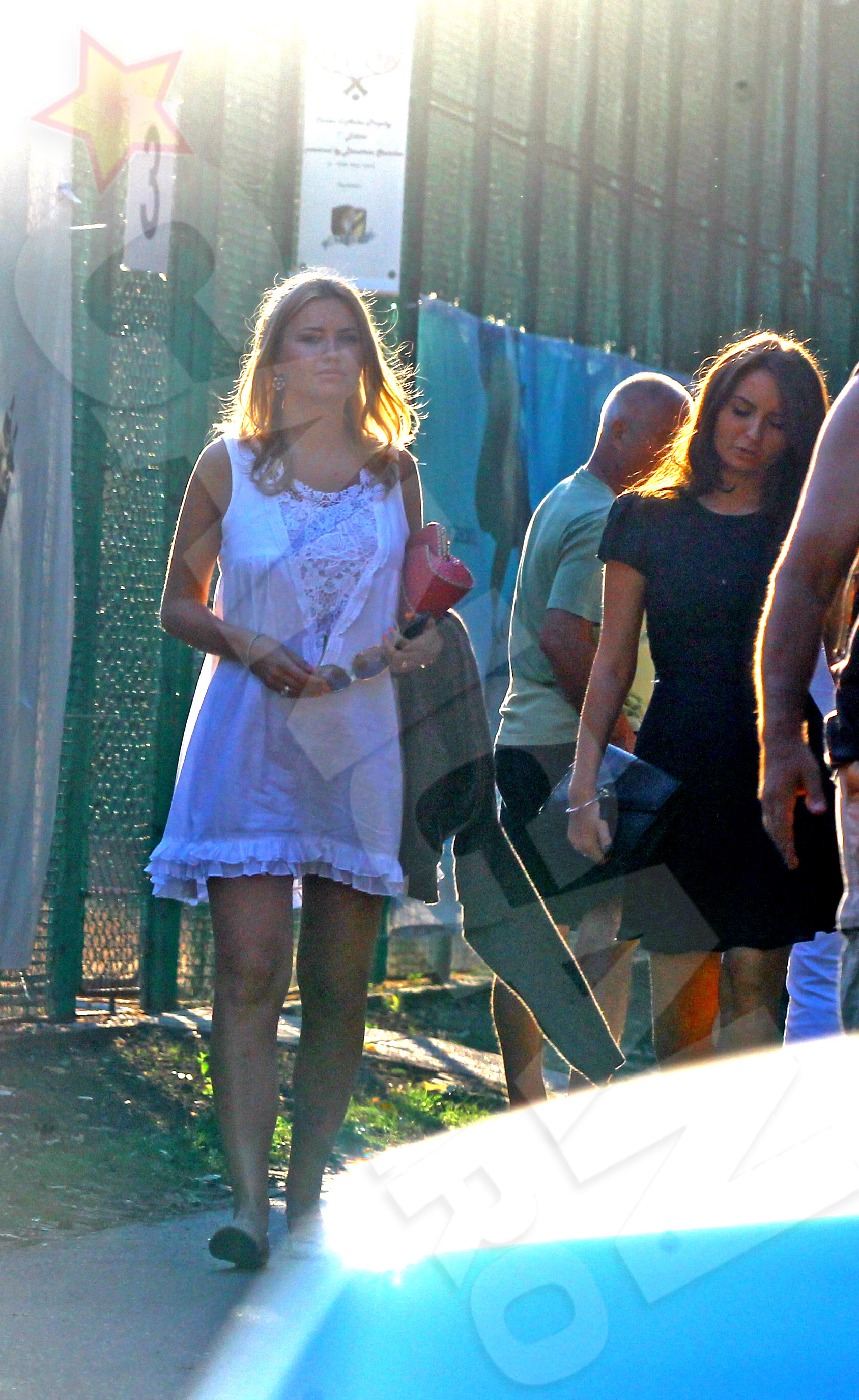 Ioana Virginia Diaconescu ar fi cea de-a patra sotie a lui Liviu Negoita