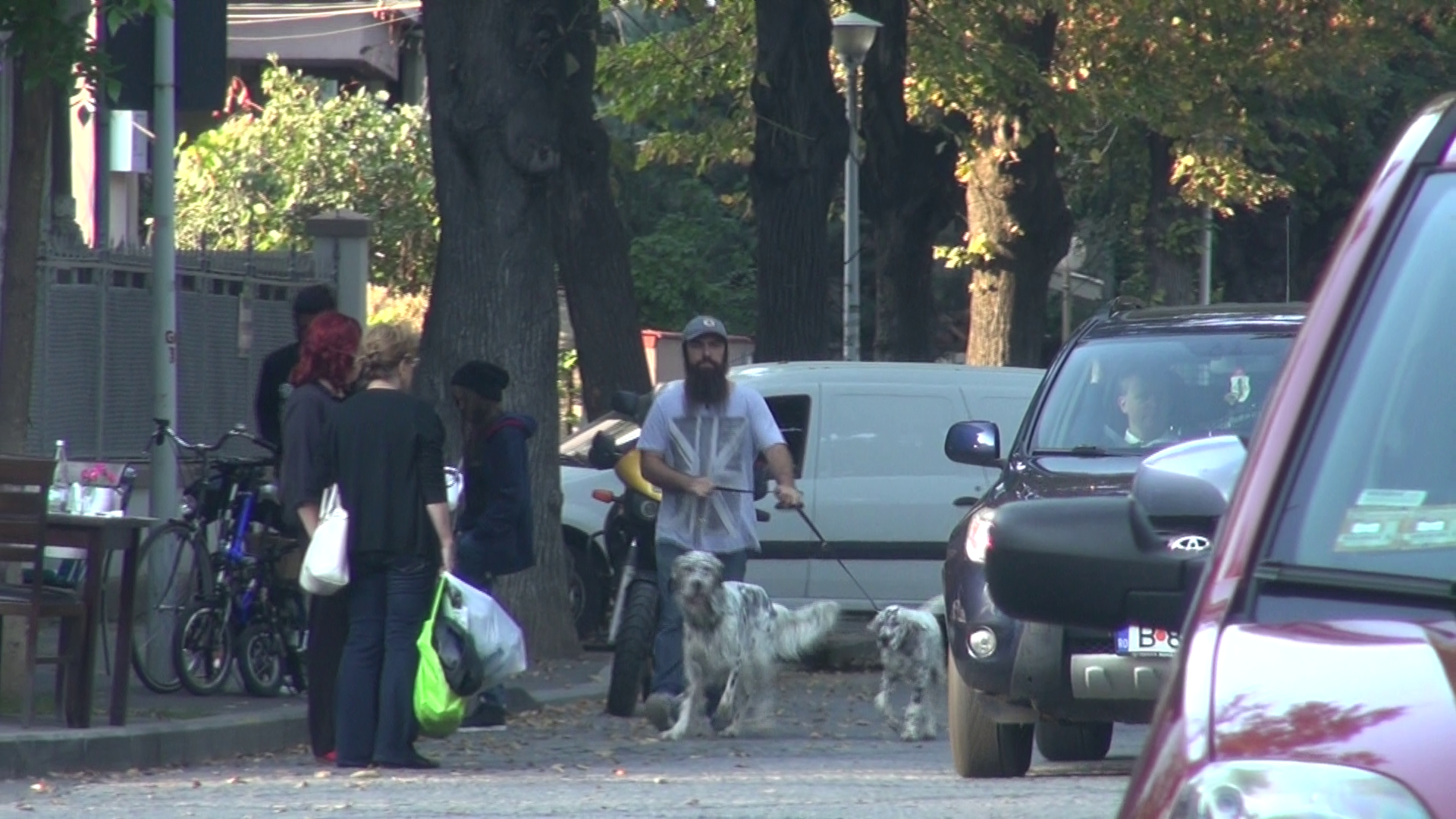 Rapperul si-a scos cainii la plimbare