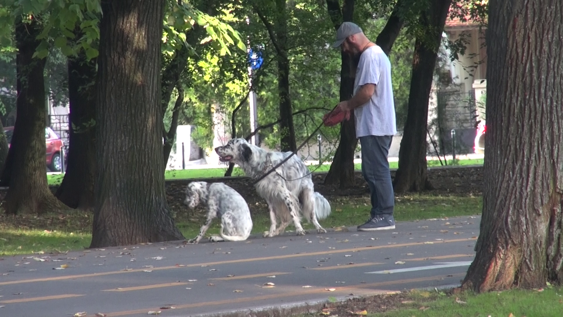 Artistul este pregatit cu punguta