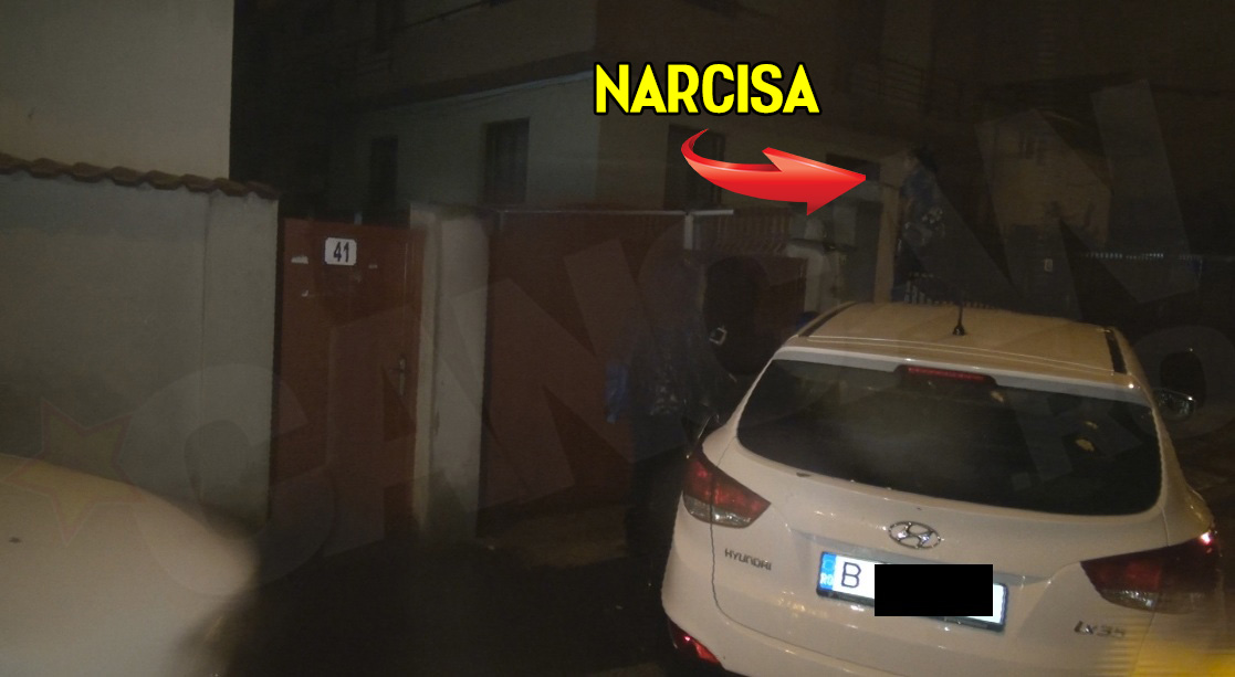 Pentru ca a gasit poarta inchisa si nu avea chei la ea, Narcisa a fost nevoita sa sara gardul