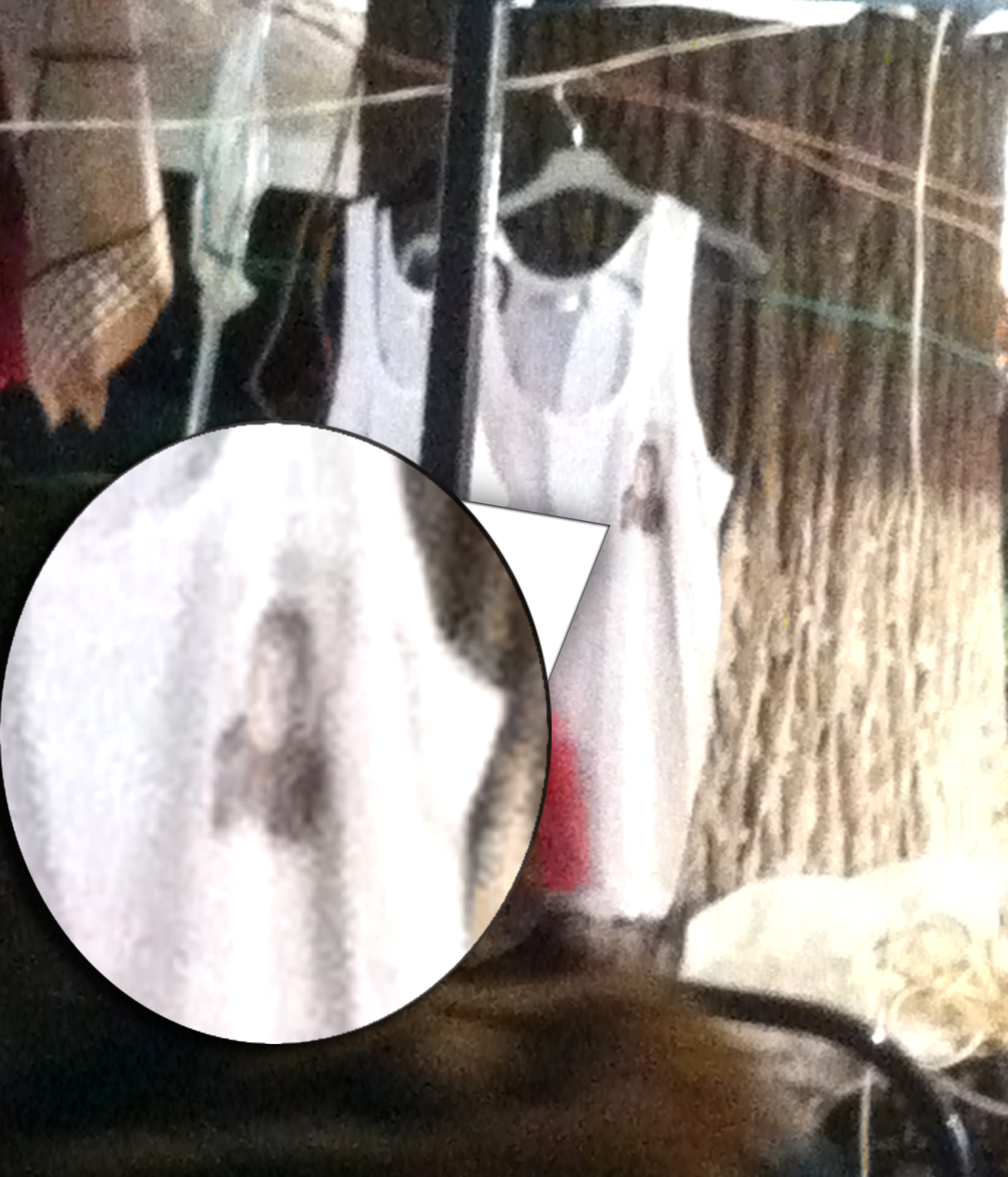 maiou cu fecioara maria