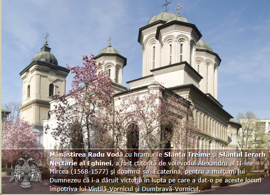 constantin stoica bor