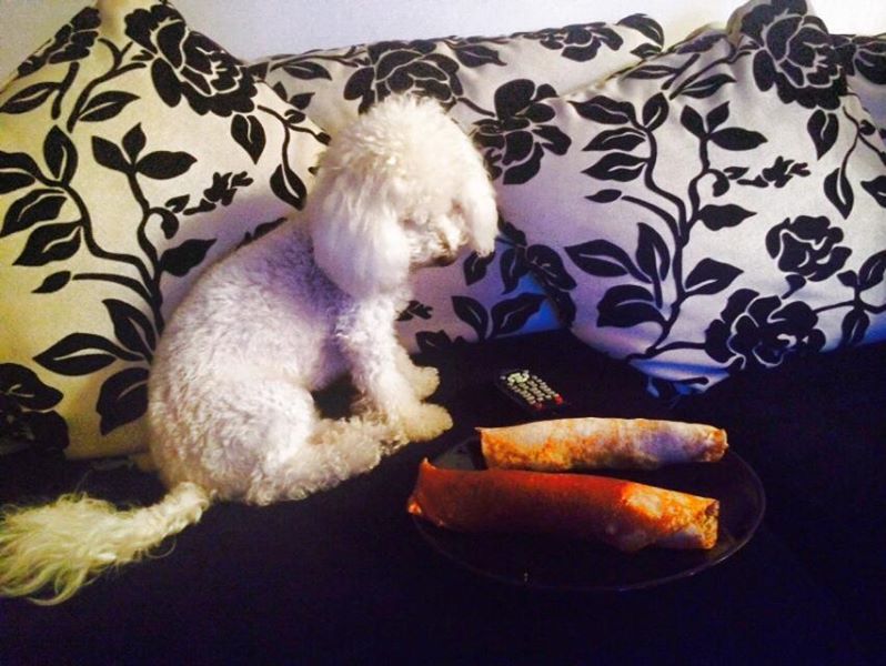 Catelusa Adelinei se uita cu jind la cele doua clatite din farfurie