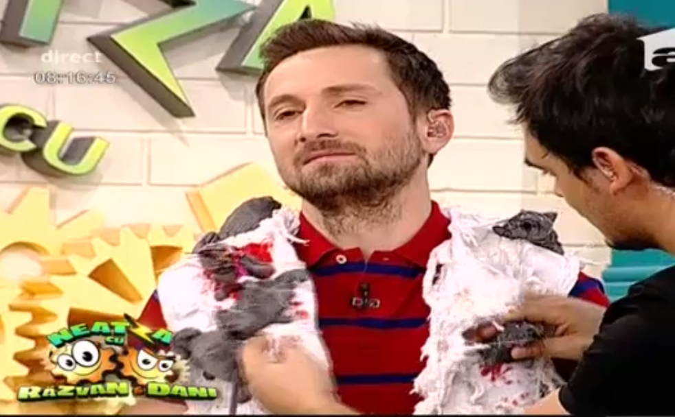 Dani a fost nevoit sa imbrace 