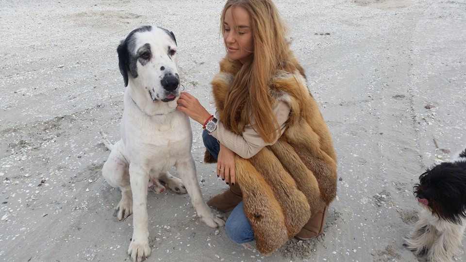 Ciobanescu bucovinean sta la Constanta in apartamentului lui Ionut Budi