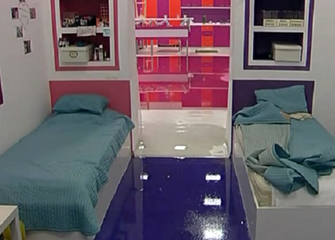 mirela boureanu vaida