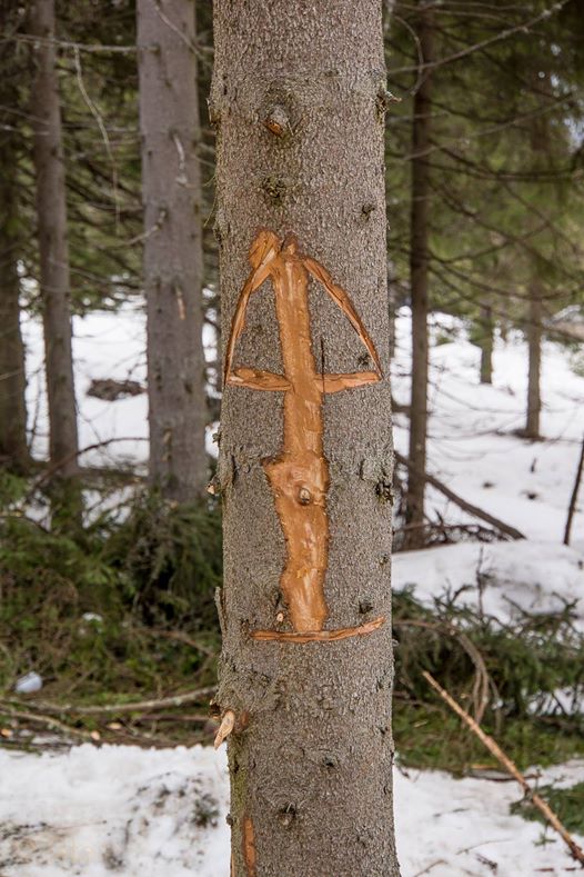 Romanita Iovan a publicat o imagine de la locul tragediei si cateva versuri