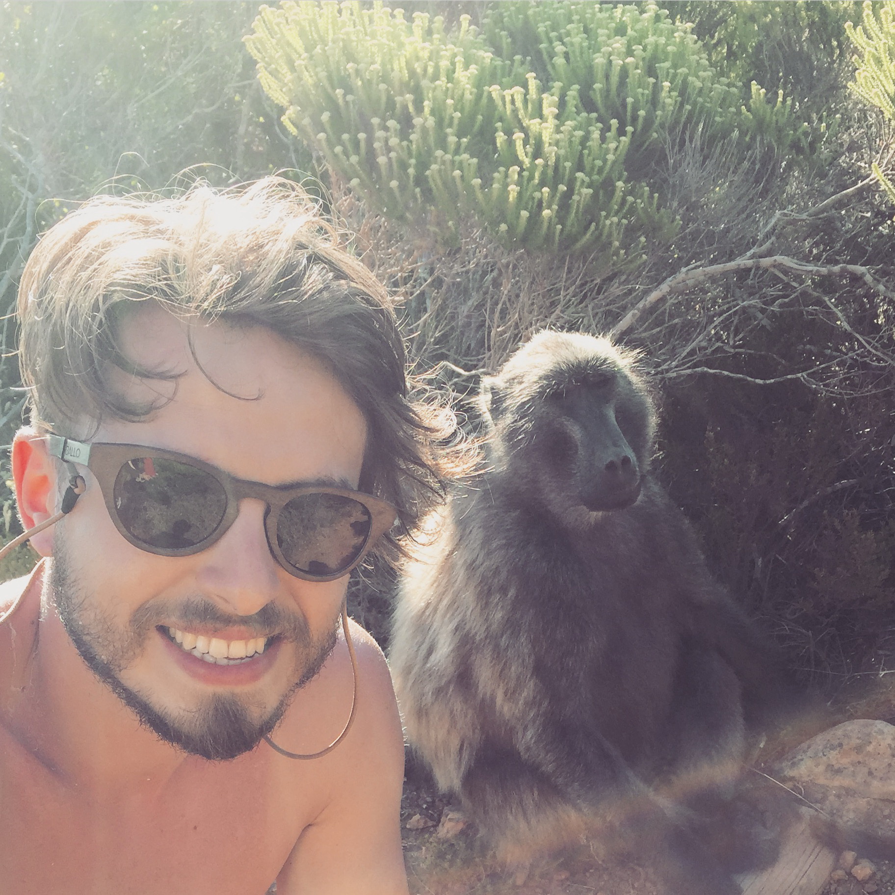 Chef alaturi de o maimutica