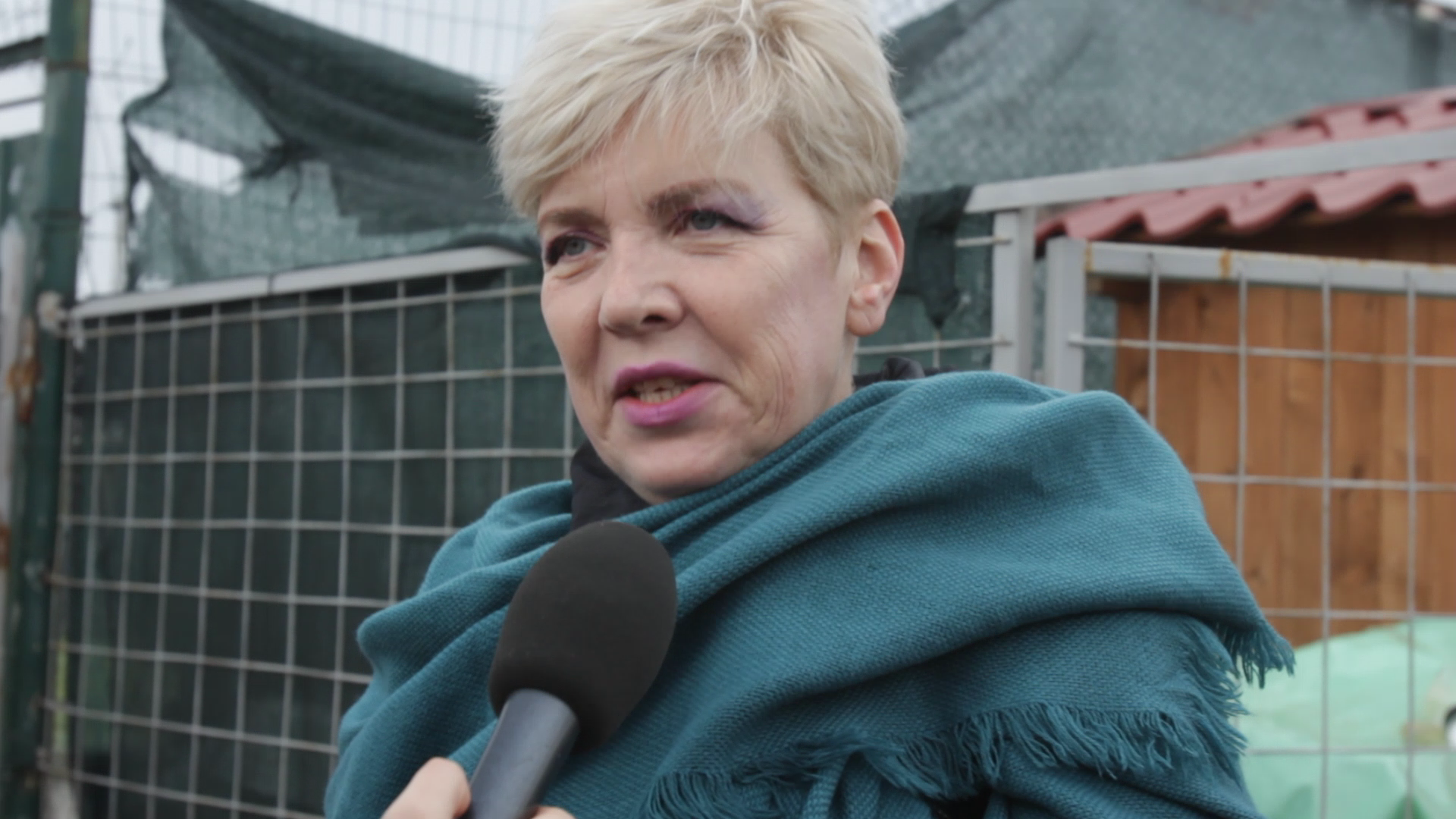 Cantareata a declarat ca-si doreste sa se mute din agitatia Capitalei