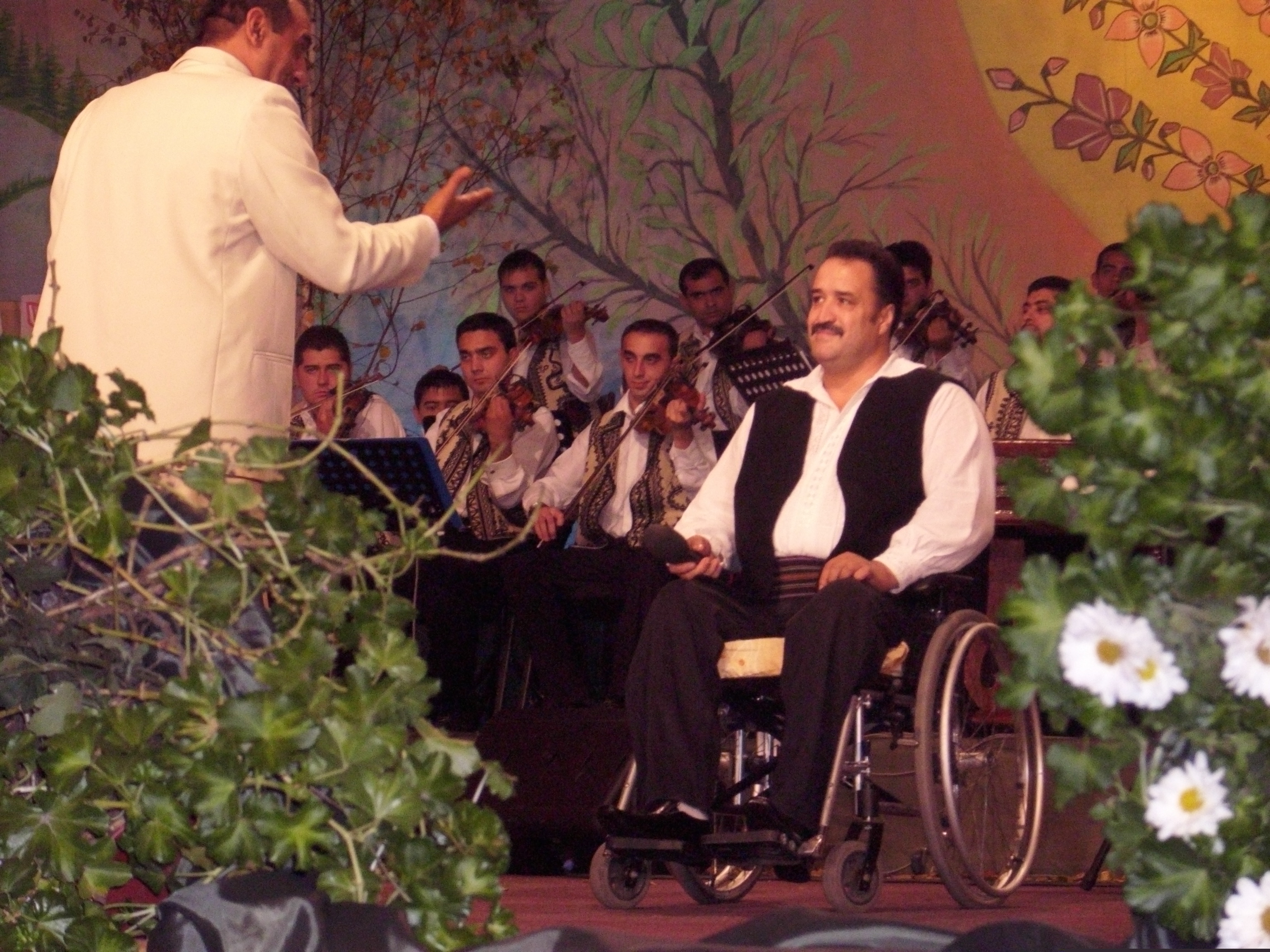 nelutu trandafir cancan te face vedeta