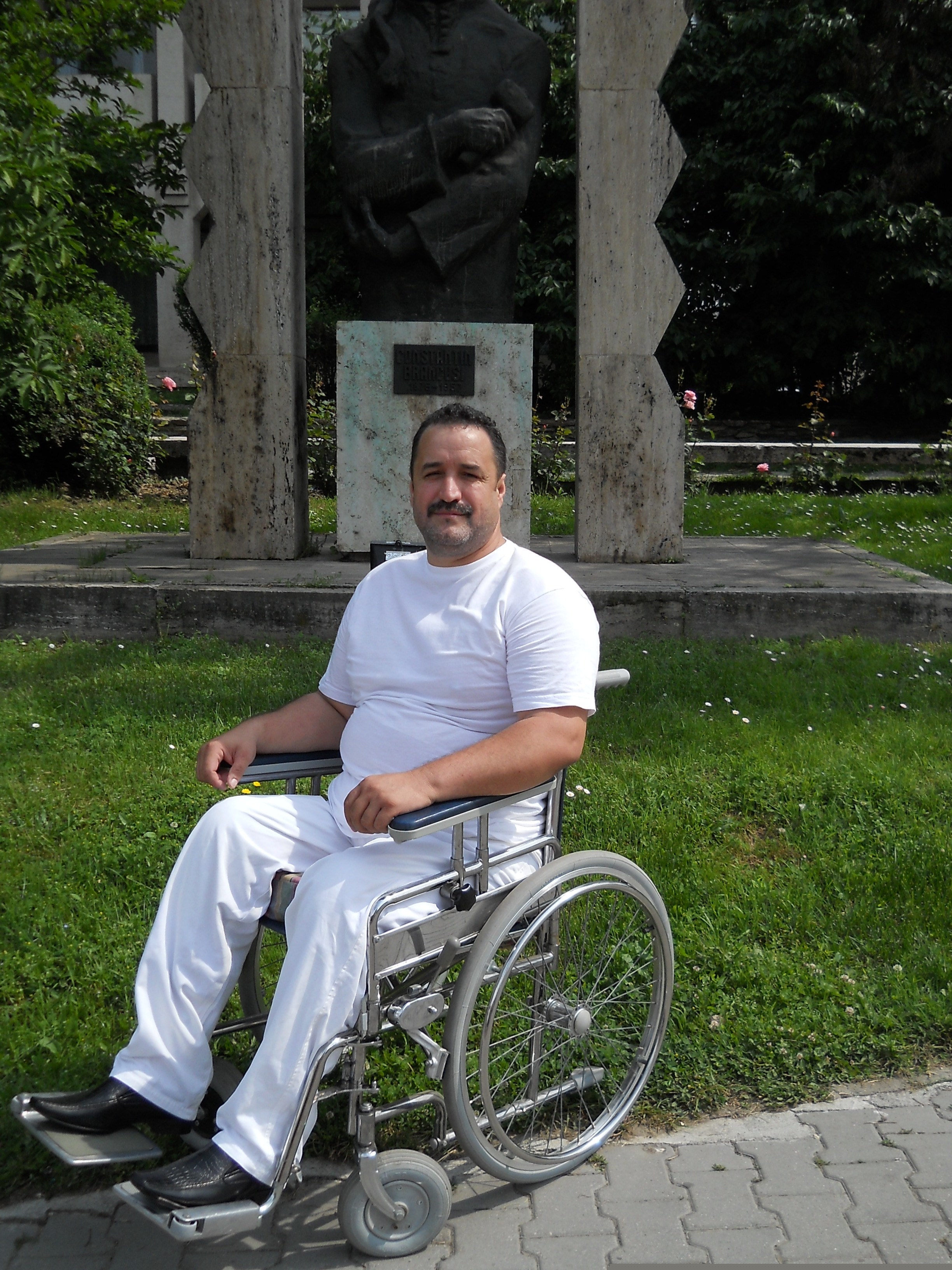 nelutu trandafir cancan te face vedeta