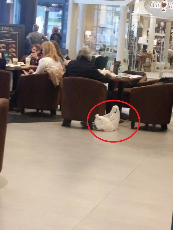 Fara niciun fel de fita, Ilie Nastase isi pune sacosa de cumparaturi, jos langa masa