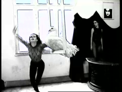 Mihaela a dansat cu sanii la vedere, pentru Directia 5, la inceputul anilor '90