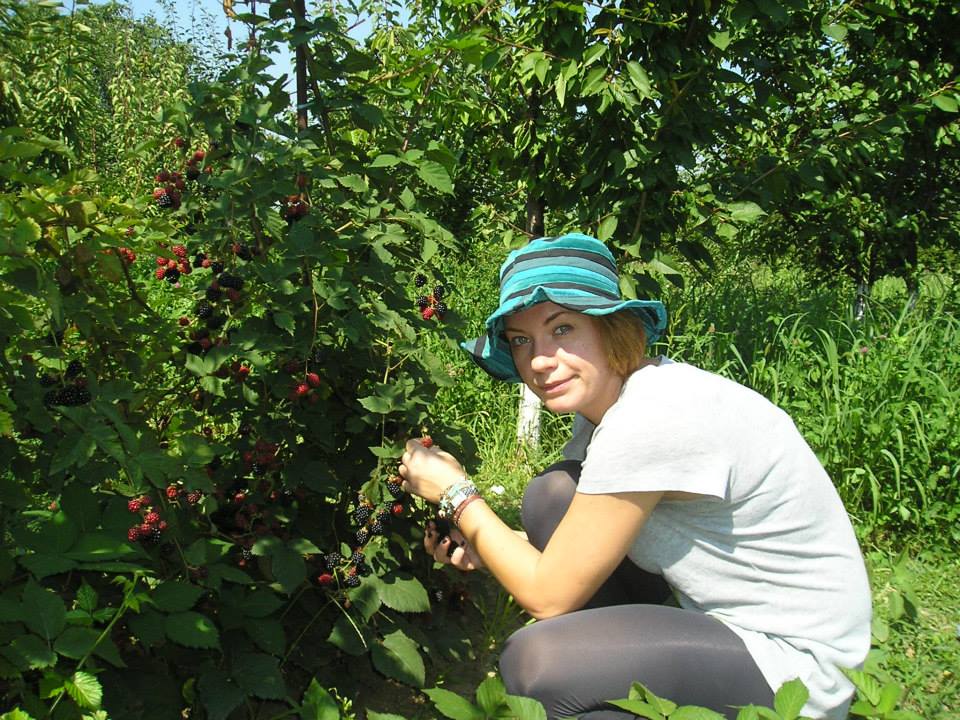 gabi vine in Romania destul de rar
