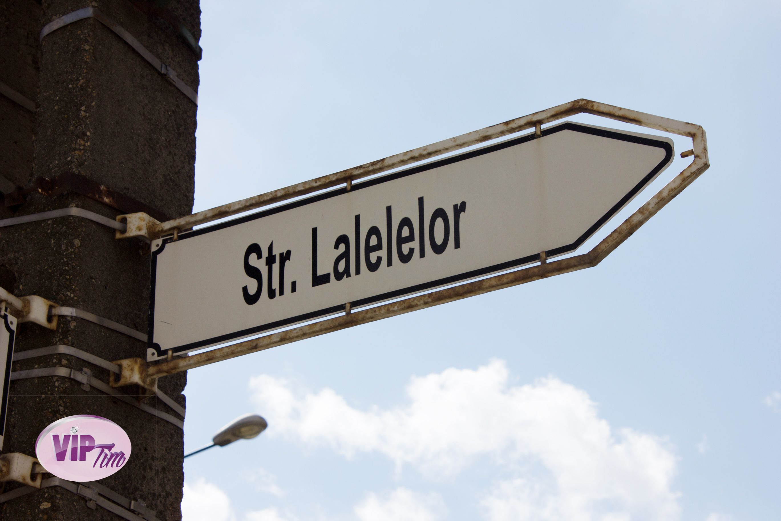 Crima a avut loc pe strada Lalelelor din Timisoara