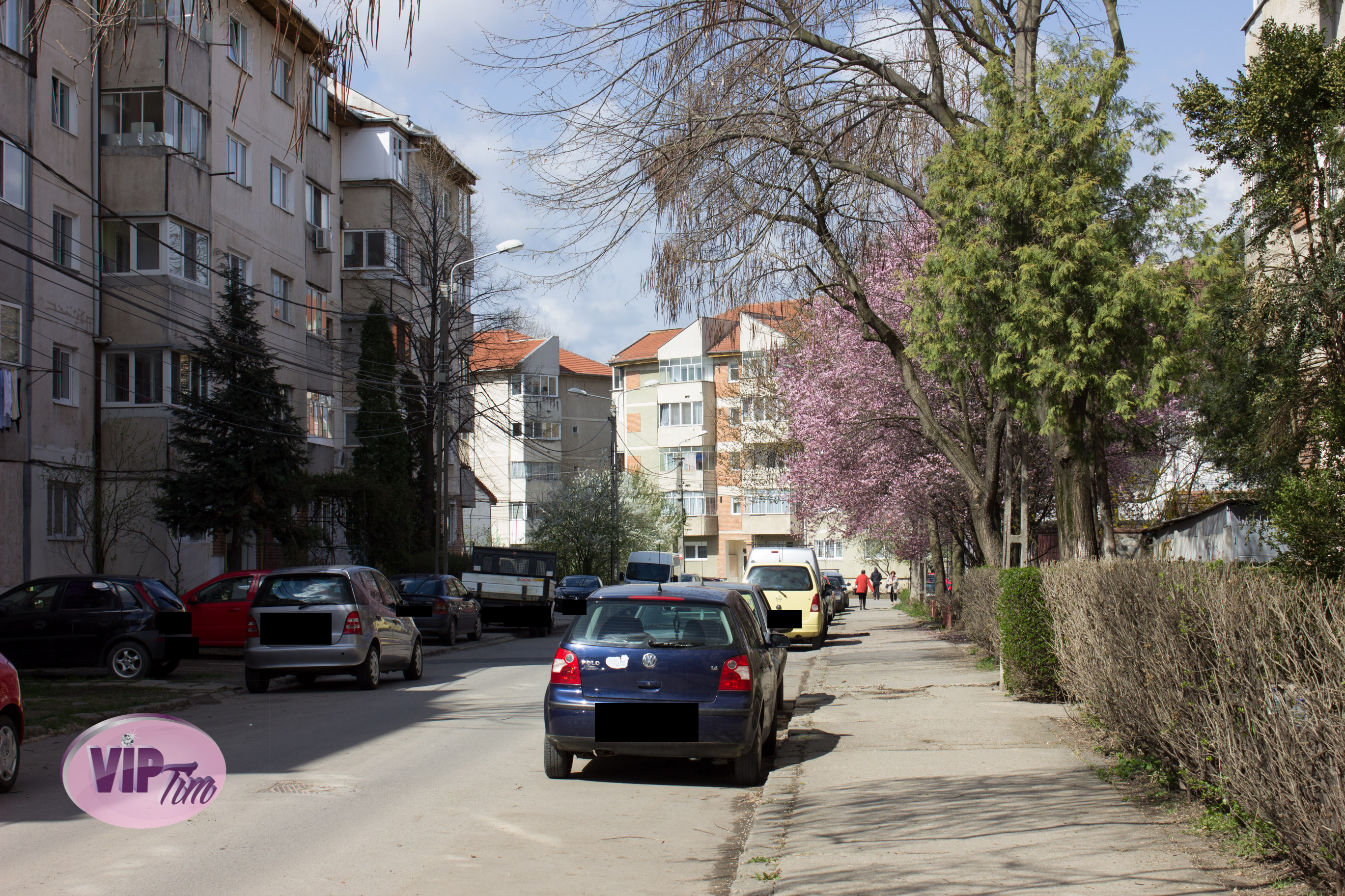 In spatele acestor tufisuri de pe strada Lalelelor a fost ucisa Erika Sursa foto: VIPTim.ro