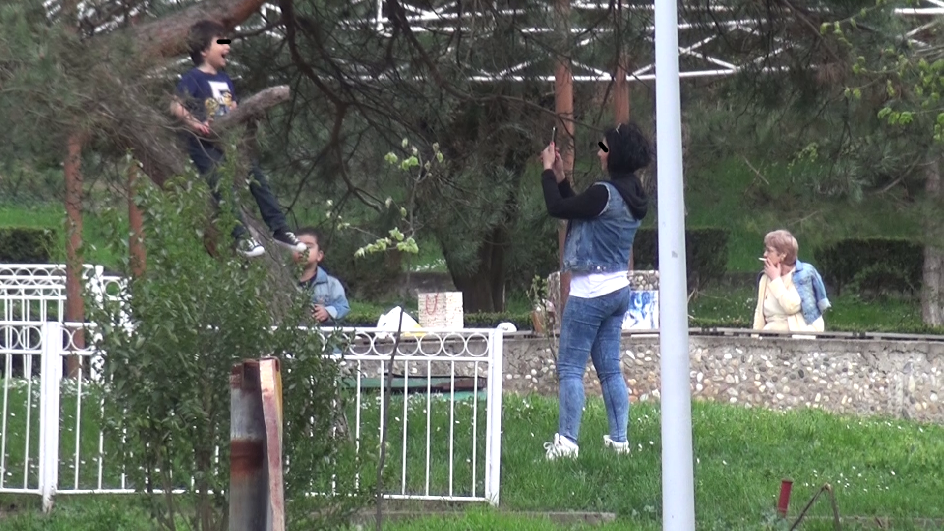 Vedeta si-a lasta fiul cel mare sa urce in copac, foarte sus