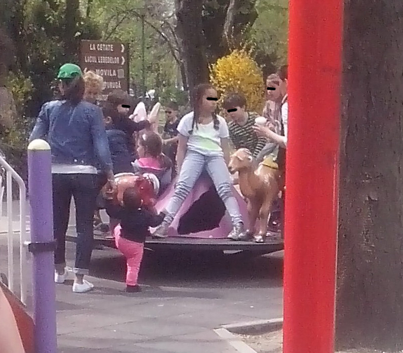 Fetele cantaretului sunt supravegheate de Puya si sotie