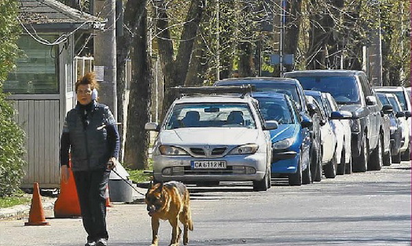 Irina Loghin are un ciobanesc german pe care il iubeste enorm
