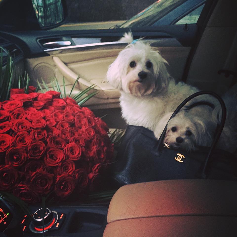 Bianca a primit acest buchet imens de trandafiri rosii imediat dupa ce a plecat de la restaurant