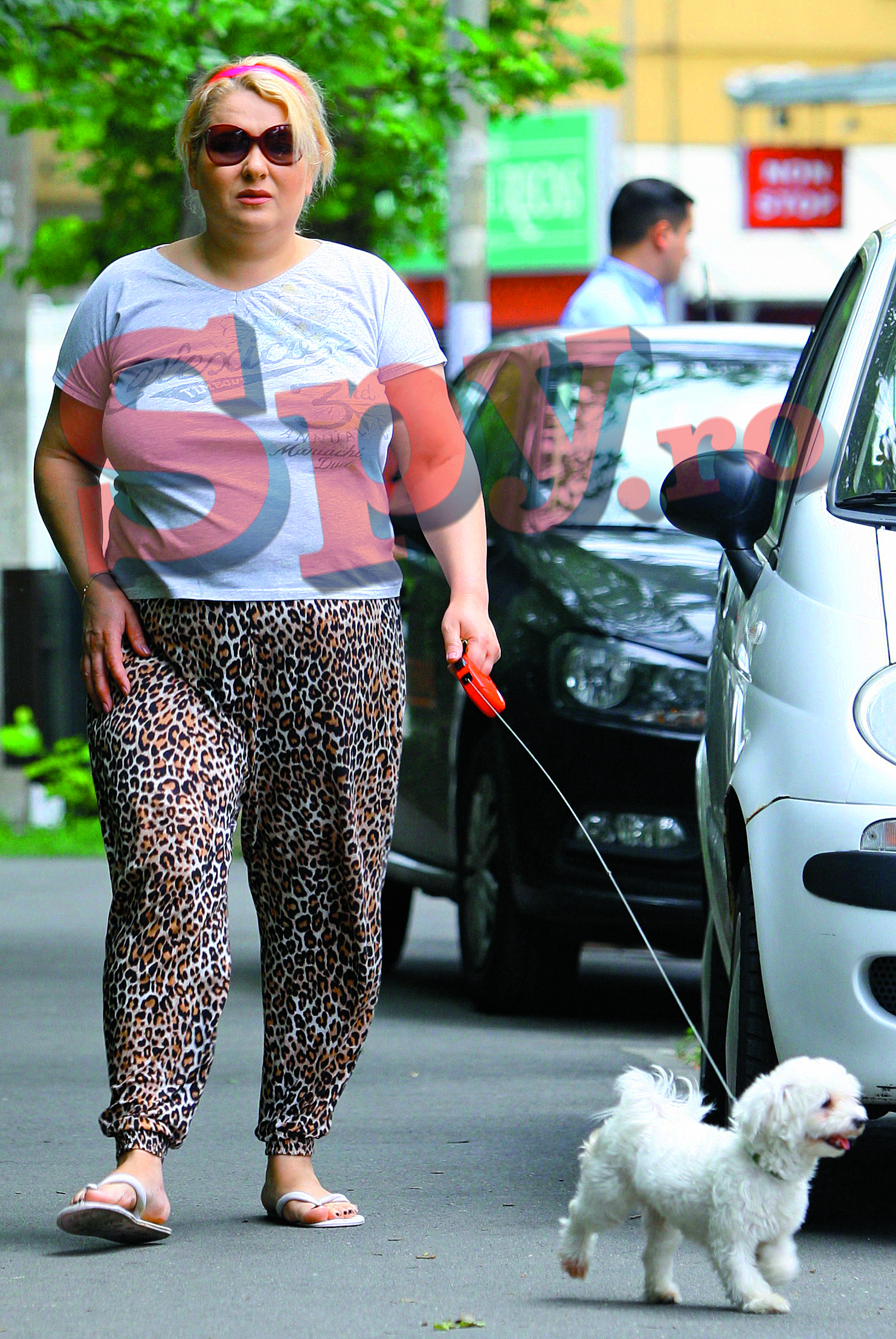 Viorica de la Clejani