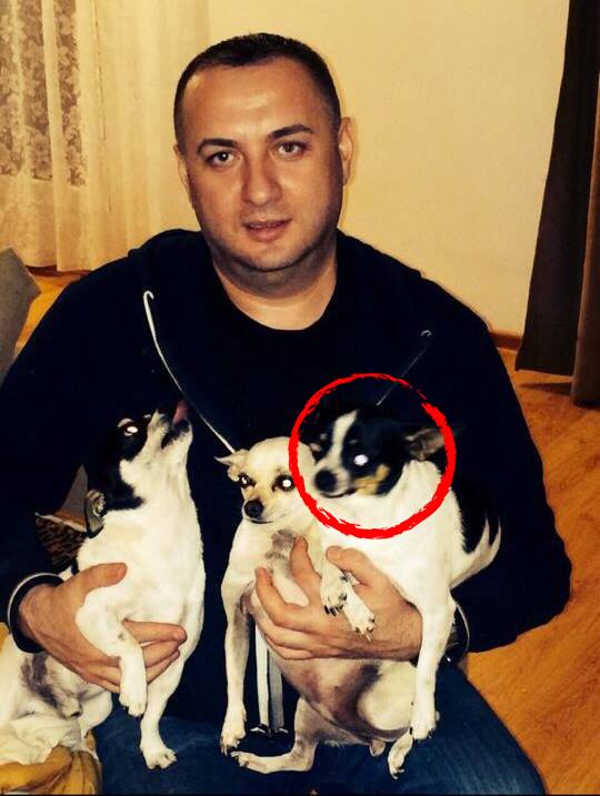 Leo este disperat de cand i-a disparut patrupedul, care raspunde la numele de Renucu