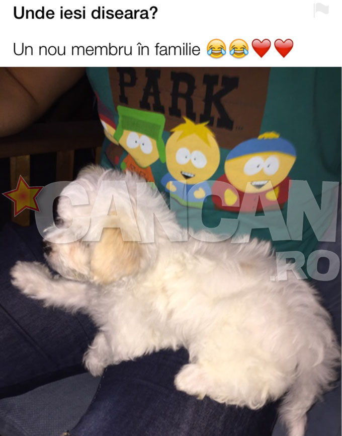 Patrupedul primit de la iubitul oficial.