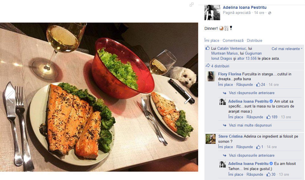 Conversatia dintre Adelina si un prieten virtual