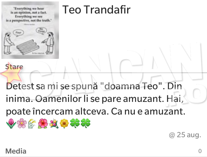 Acesta este mesajul cu care Teo isi intampina prietenii pe o cunoscuta retea de socializare