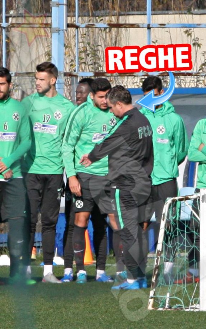 laurentiu reghecampf