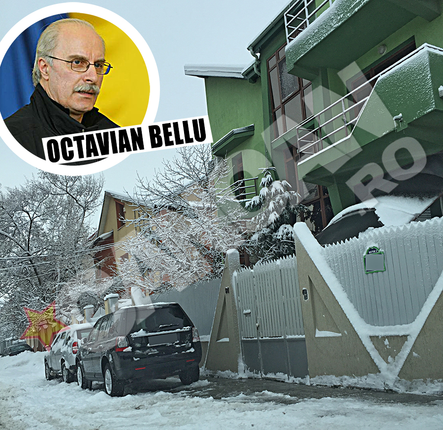 Antrenorul a indepartat zapada din fata casei, inca de la primele ore ale diminetii