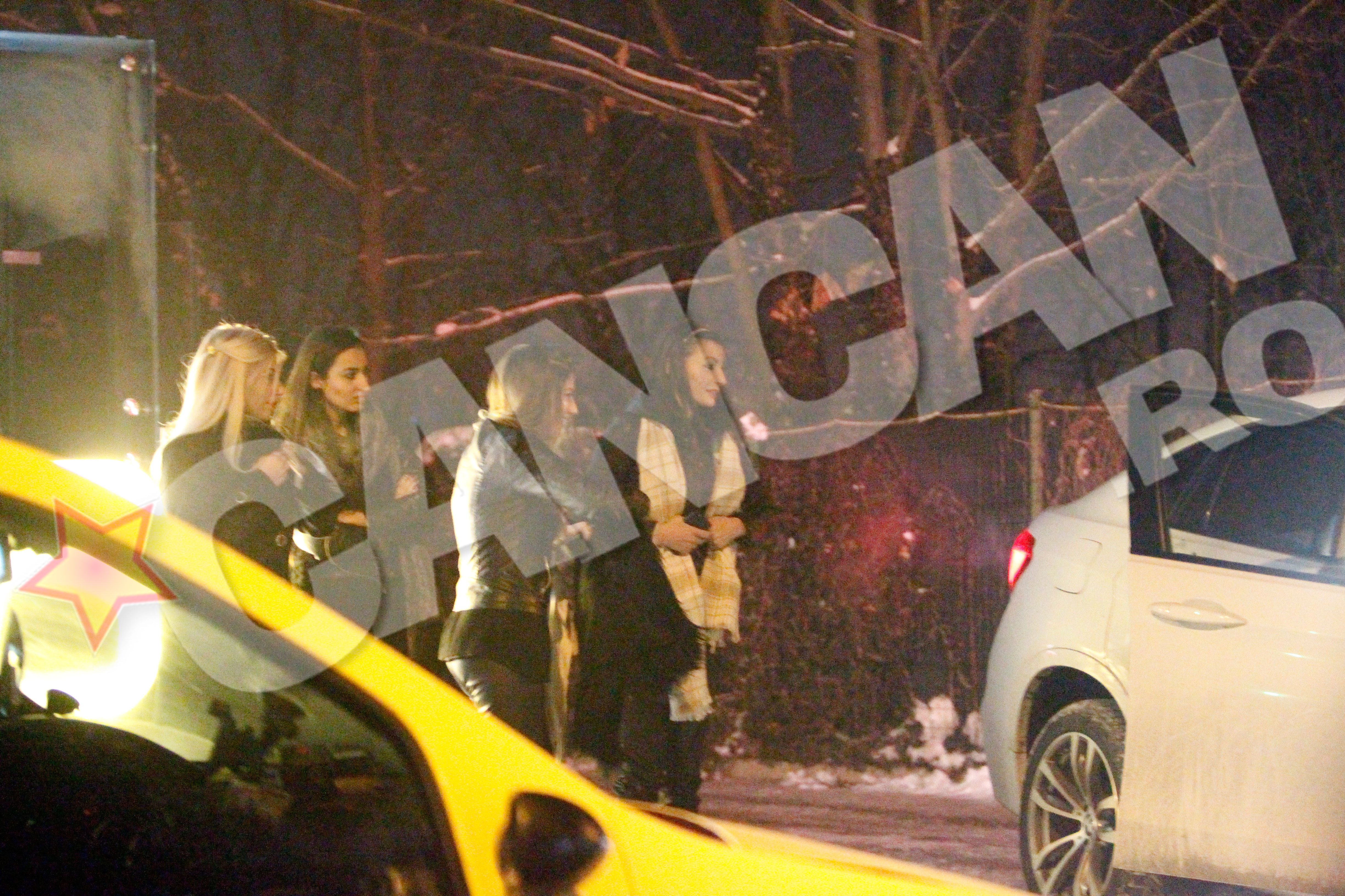 Tinerele domnisoare erau foarte entuziasmate de plimbarea cu Alin Ionescu, barbat insurat, si Francu, de ceva vreme singur si in cautarea dragostei