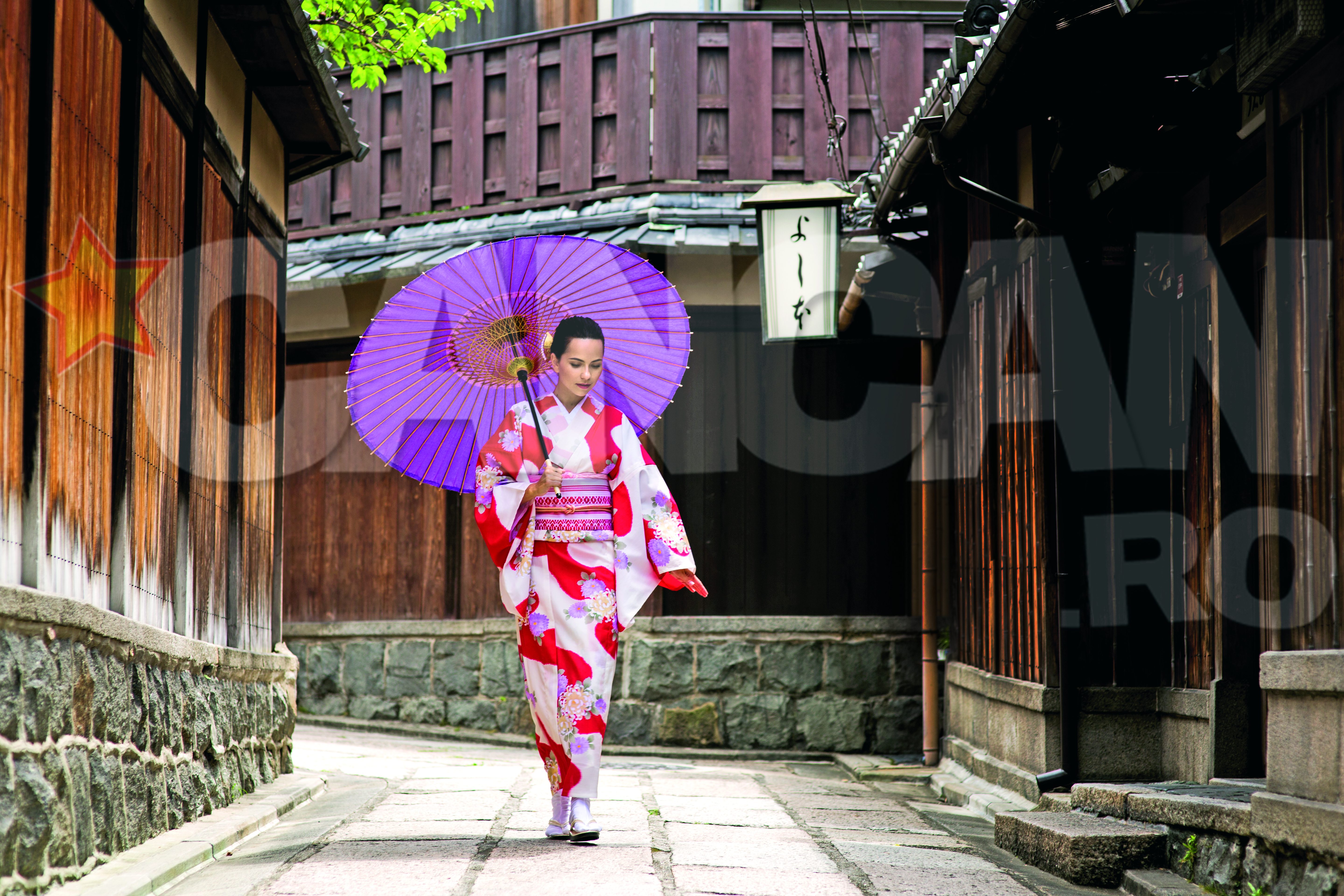 Este tanara si celebra, datorita pieselor lansate, care au ajuns preferatele publicului romanesc si nu numai