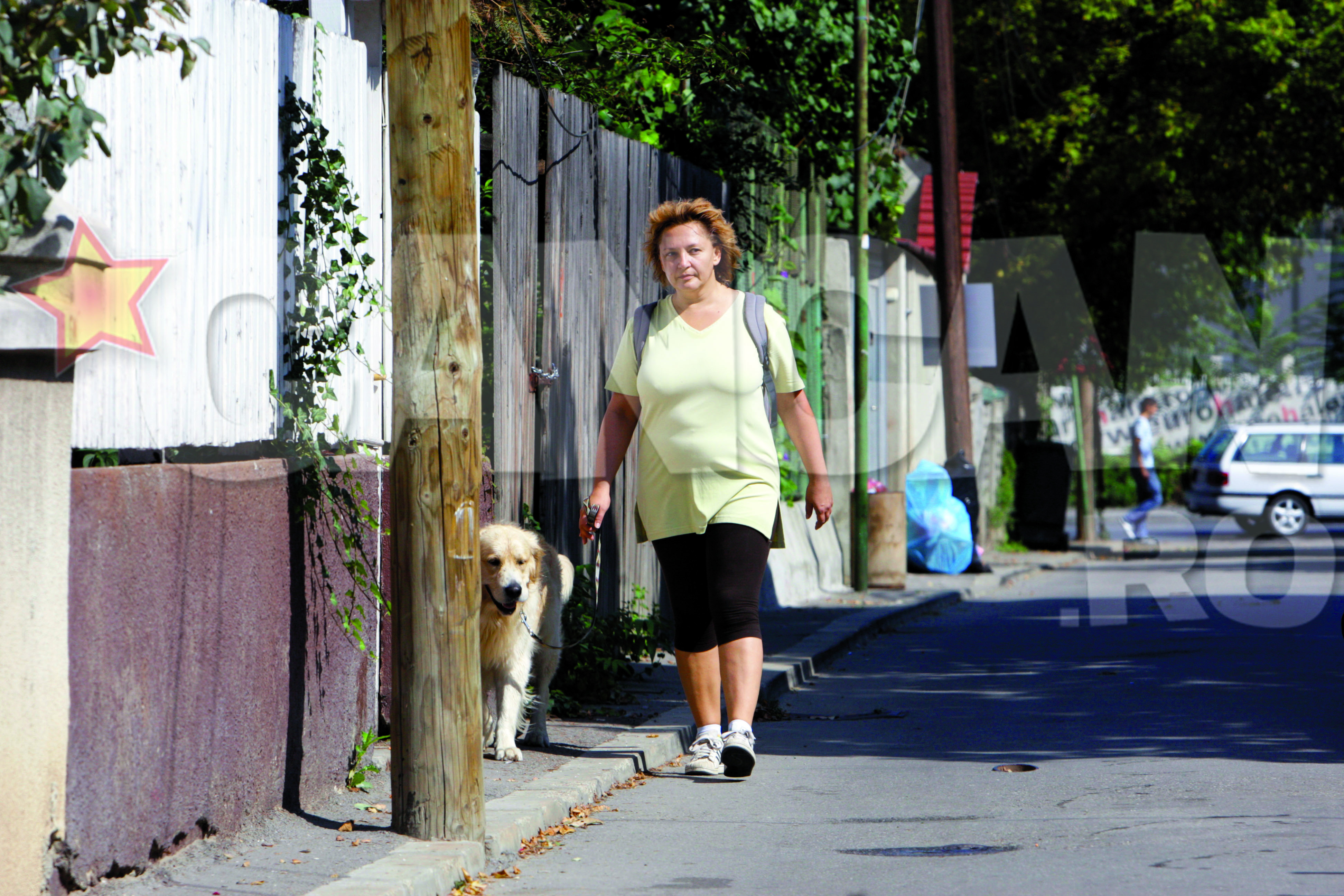 Vedeta s-a facut remarcata, datorita carierei sale in televiziune