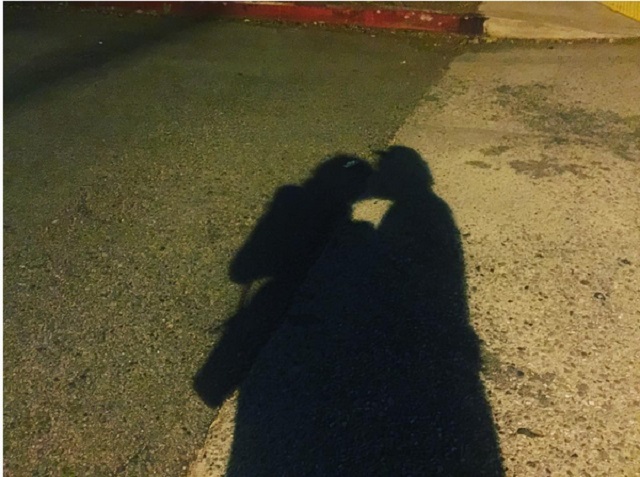 Mădălina Ghenea în compania noului ei iubit