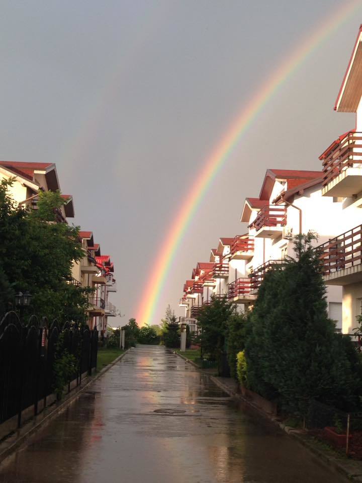 Diana Simion a postat o fotografie pe Facebook, la scurt timp după ce a semnat actele de divorţ, cu mesajul: ''culorile de la capătul drumului''.