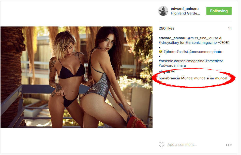 Brenciu a fost primul internaut care şi-a dat cu părerea în această chestiune