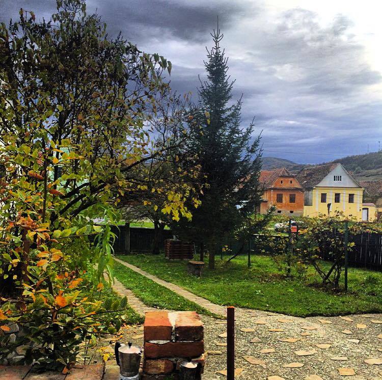 Fotografia aceasta îi aduce aminte Laurei de vacanţele la bunici