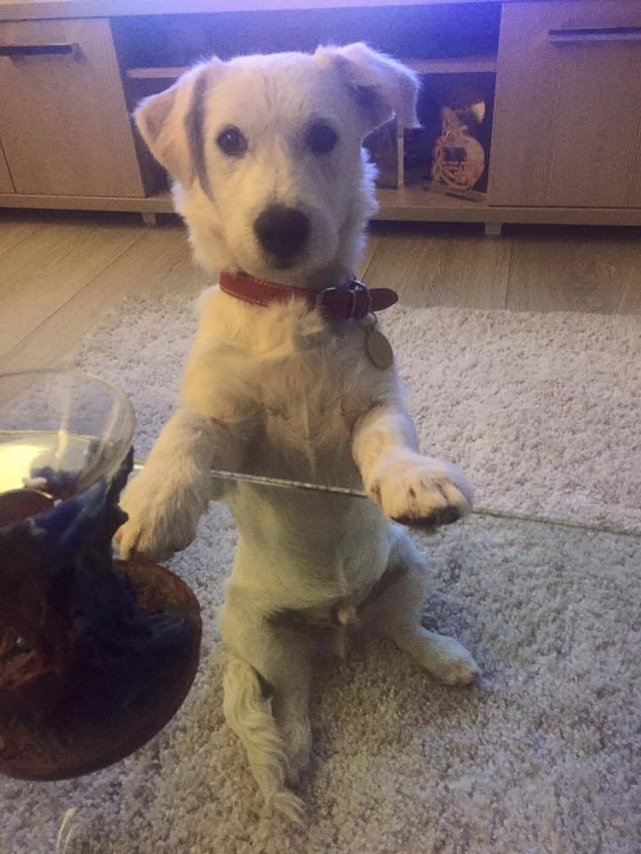 Acesta este ”naşul” Andreei