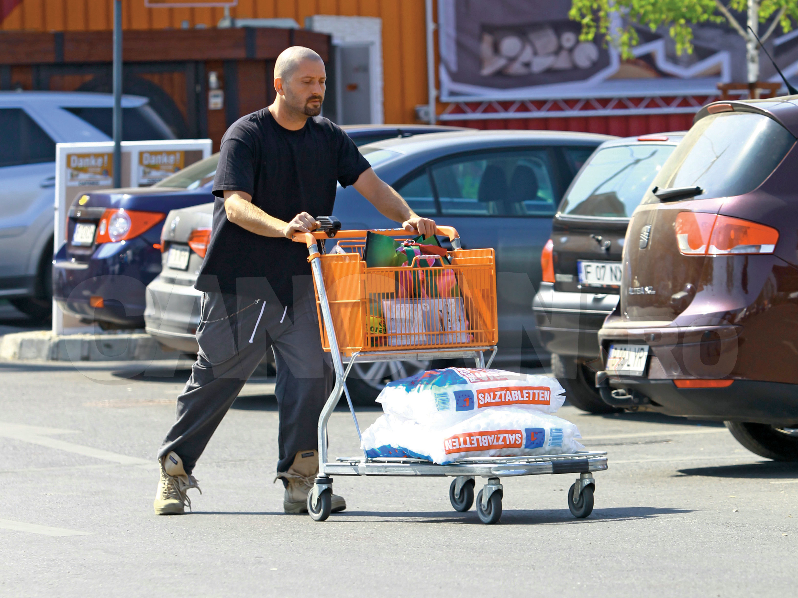 Cheloo s-a apucat de...bricolat