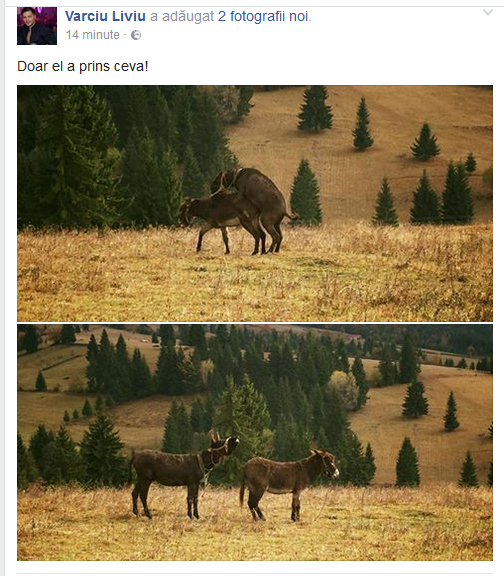 Primele fotografii postate de Liviu, după ce Adelina a anunţat că s-a despărţit de Speak.