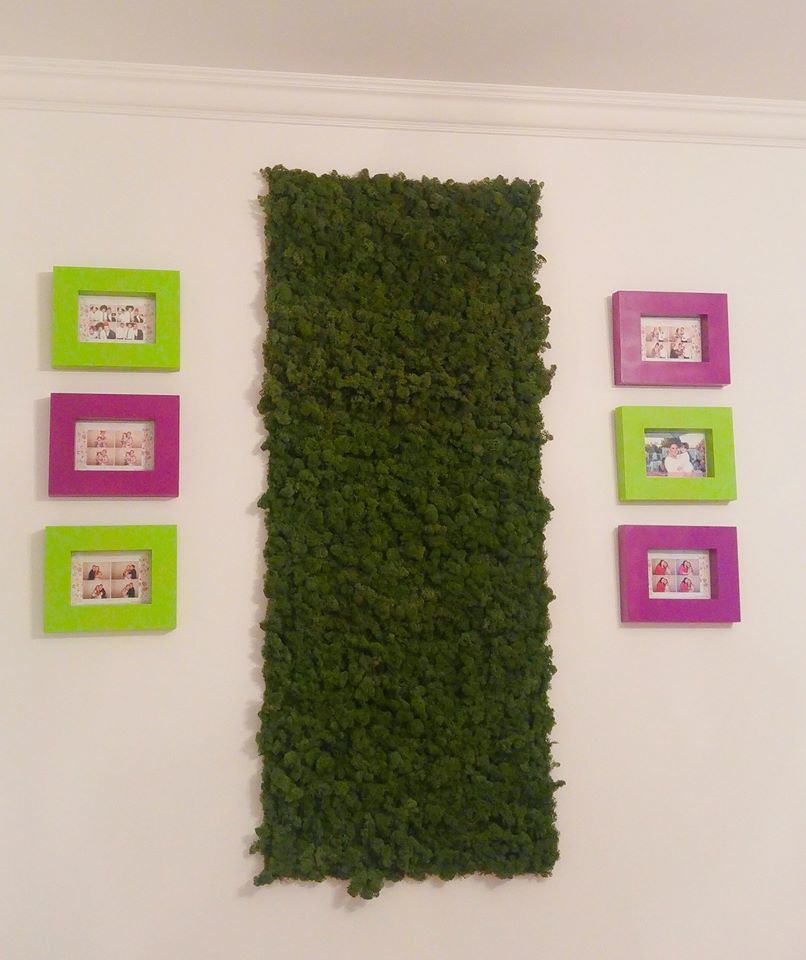 Tabloul cu licheni cu care Oana Roman şi-a decorat pereţii