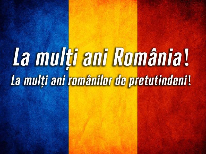Imaginea cu drapelul postată de Monica Gabor pe Facebook