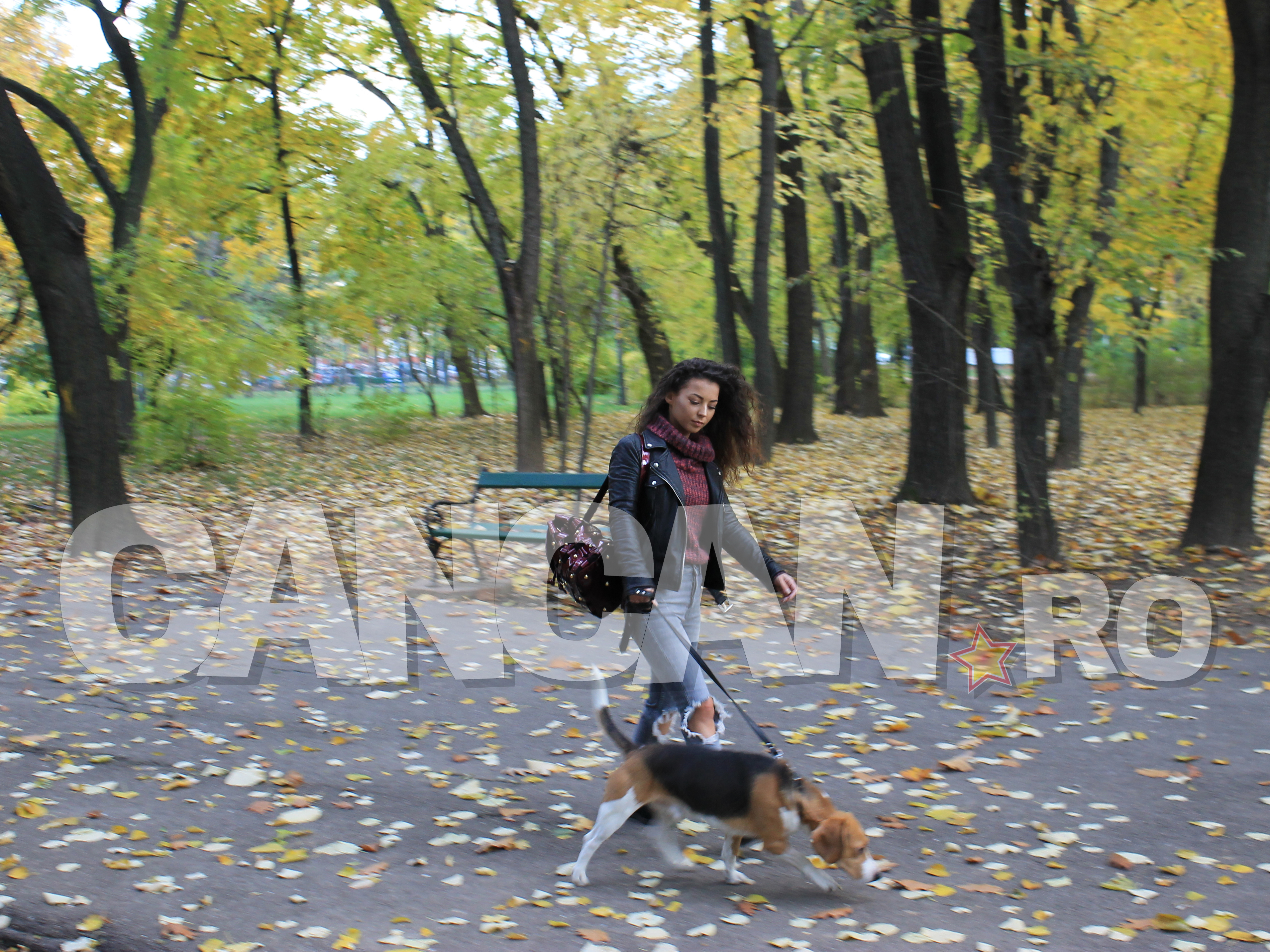 Ami, la plimbare cu căţelul ei