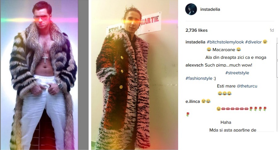 Colajul realizat de Delia