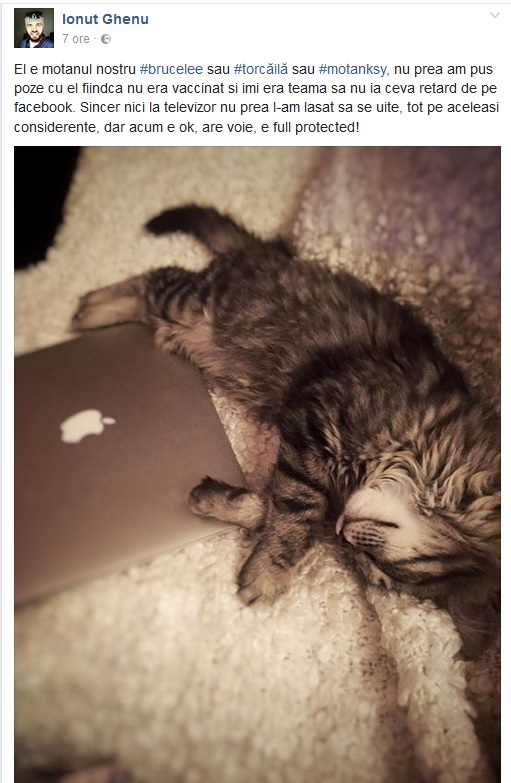 Ionuţ Ghenu şi Lora şi-au mărit familia cu un motănel tare drăgălaş