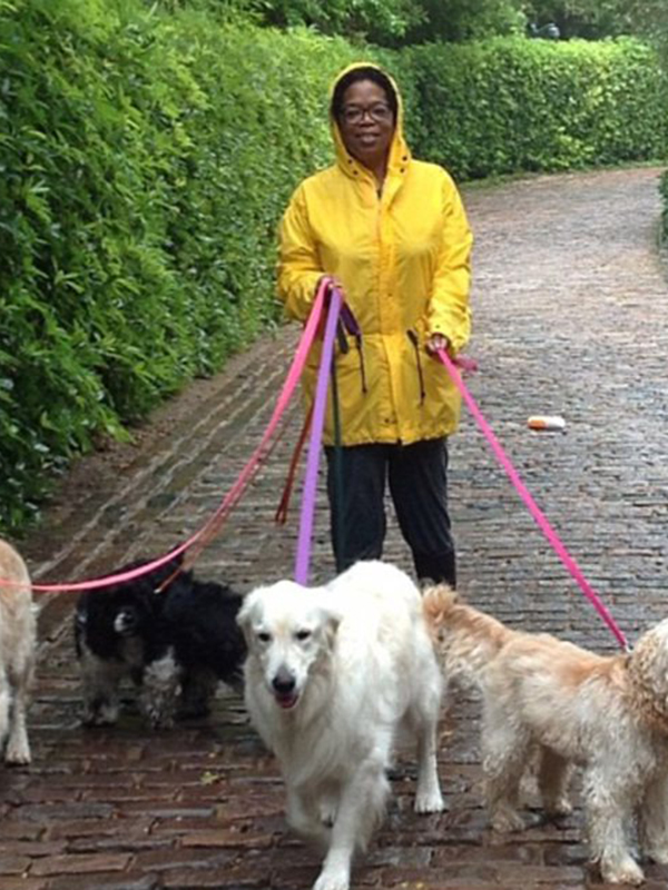 V-aţi întrebat vreodată cum arată o zi din viaţa lui Oprah? Imagini senzaţionale cu miliardara, în cele mai casnice ipostaze!