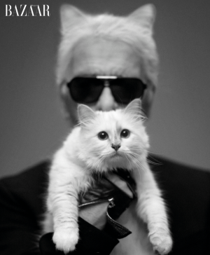 karl lagerfeld
